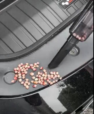 Máy hút bụi ô tô